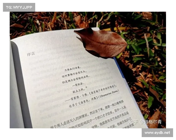 《李梦的温暖哲学:每个生灵的独特价值与她对友情的真诚追求》 《李梦的温暖哲学:每个生灵的独特价值与她对友情的真诚追求》